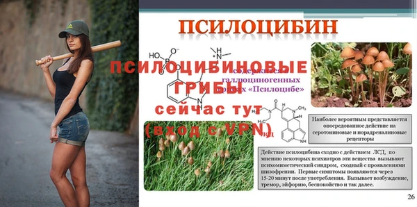молекула духа Алексеевка