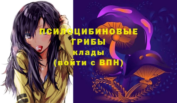 молекула духа Алексеевка