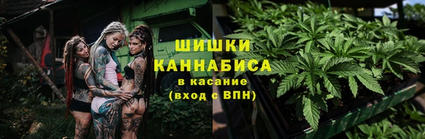дмт Алзамай