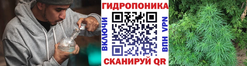 Бошки марихуана план  Тогучин 